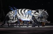 Jogos Olímpicos de Inverno, Pyeongchang, Coreia do Sul