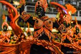 Carnaval Rio de Janeiro 