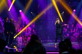 Semifinalistas, Festival da canção, rtp, Tânia Ribas de Oliveira, Sónia Araújo, diogo piçarra
