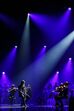 Semifinalistas, Festival da canção, rtp, Tânia Ribas de Oliveira, Sónia Araújo, diogo piçarra