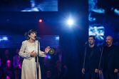 Semifinalistas, Festival da canção, rtp, Tânia Ribas de Oliveira, Sónia Araújo, diogo piçarra