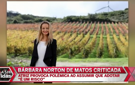 "Não há lugar no mundo para nazis": O discurso de Putin nas celebrações do Dia da Vitória