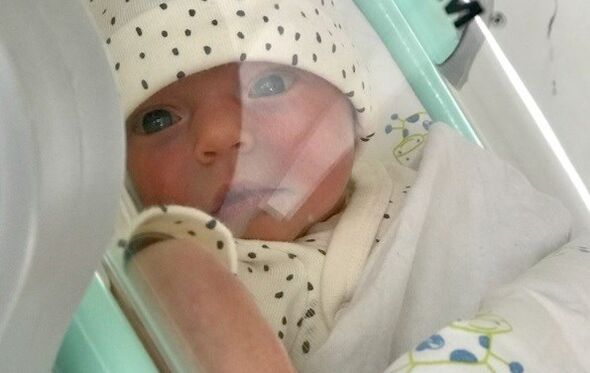 Gaia, Joana Balaguer 