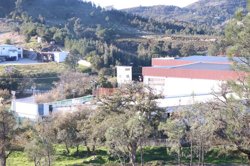 Manuel Luís Goucha, casa dos segredos, estreia, reality show, tvi