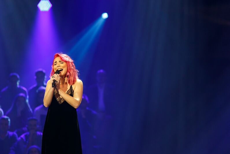 Semifinalistas, Festival da canção, rtp, Tânia Ribas de Oliveira, Sónia Araújo, diogo piçarra