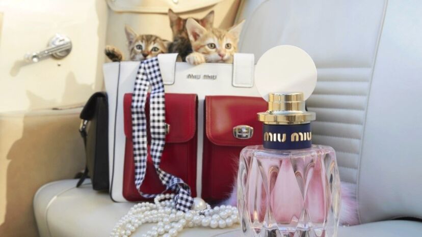 l'eau rosée, miu miu