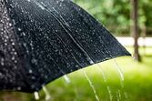 Chuva forte, chuva, xxx