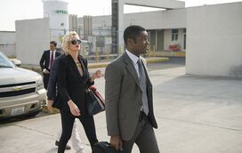 As estreias da semana