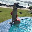 Natti Natasha, YouTube