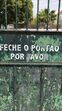 carolina patrocinio