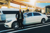 Lewis hamilton, piloto, f1, carros, coleção