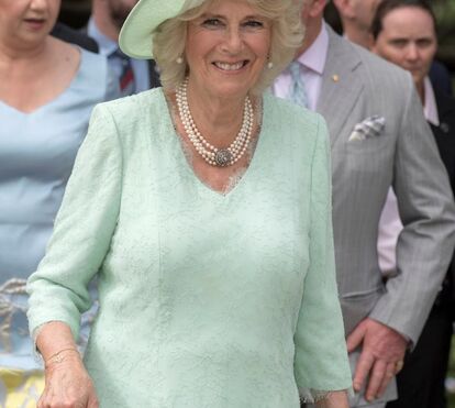 Duas décadas após a morte da mãe, Harry fala de Camilla pela primeira vez. “É uma mulher maravilhosa”
