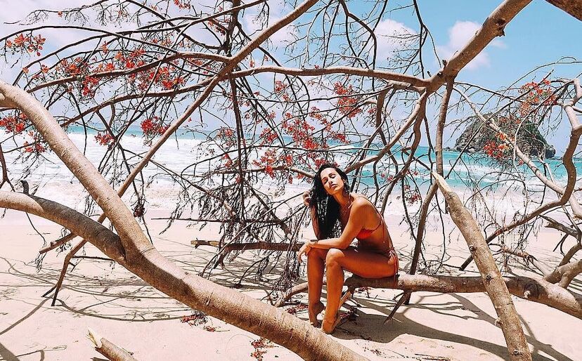 Rita Pereira