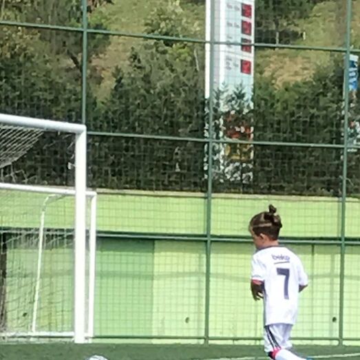 ricardo quaresma