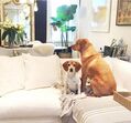 A casa de Meghan Markle em Toronto