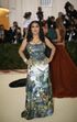 MET GALA