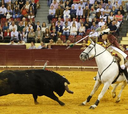 Noite de Festa e triunfo na Monumental de Lisboa com o Vidas/CM