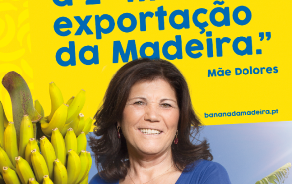 dolores aveiro