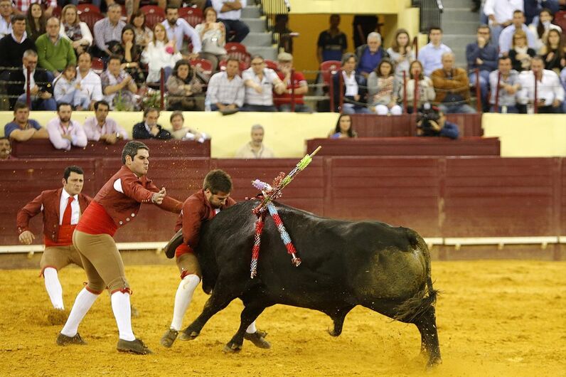 Campo Pequeno, corrida vidas, lisboa, toiros, Correio da Manhã