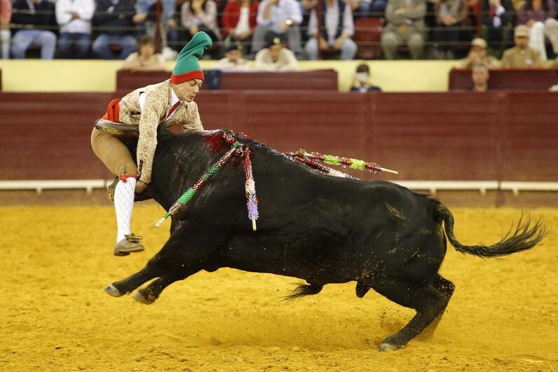 Campo Pequeno, corrida vidas, lisboa, toiros, Correio da Manhã