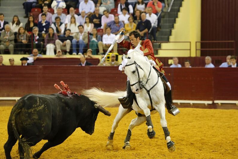 Campo Pequeno, corrida vidas, lisboa, toiros, Correio da Manhã