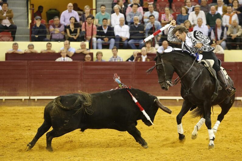 Campo Pequeno, corrida vidas, lisboa, toiros, Correio da Manhã