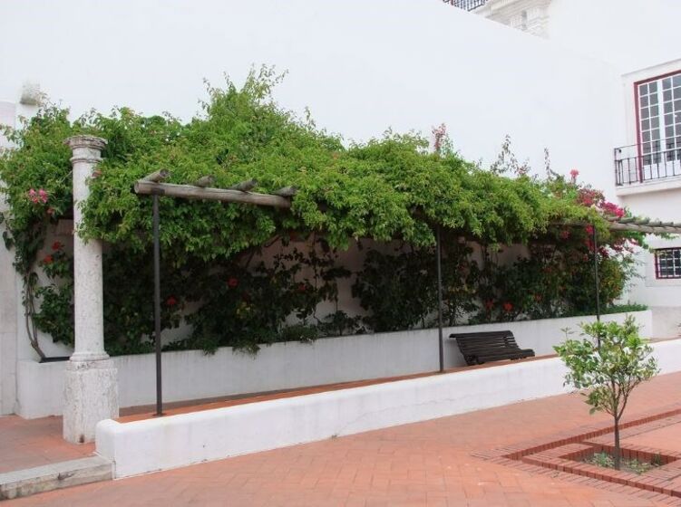 Palácio São Vicente de Fora