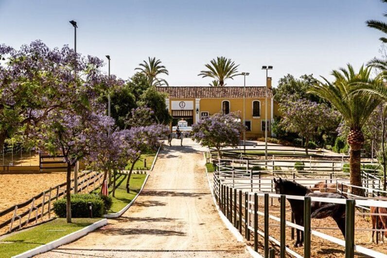 Cristiano Ronaldo, Georgina Rodríguez, Férias, Málaga