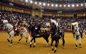 campo pequeno
