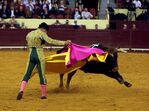 campo pequeno