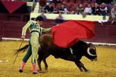campo pequeno