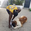 William Carvalho