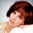Gina Lollobrigida