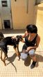 Cristiano Ronaldo, Georgina Rodríguez, anaa, defesa dos animais, cães, madrid, espanha, associação nacional amigos dos animais