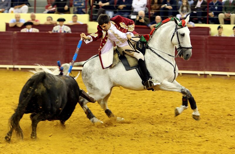 campo pequeno
