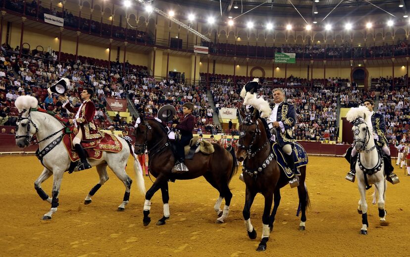 campo pequeno