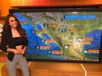 Metereologista