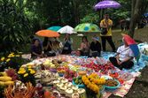 Resgate, Rapazes, Tailândia, Gruta, Chiang Rai