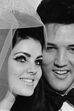 Priscilla Presley 