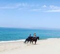 comporta
