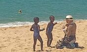 comporta