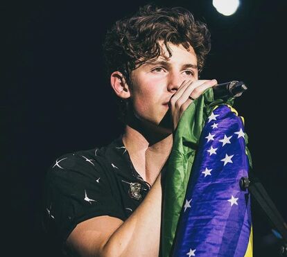 Shawn Mendes, cantor do tema de apoio a Portugal, afinal está a apoiar o Brasil