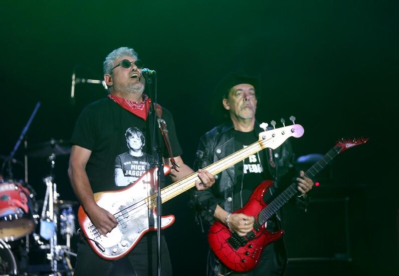 Homenagem Zé Pedro