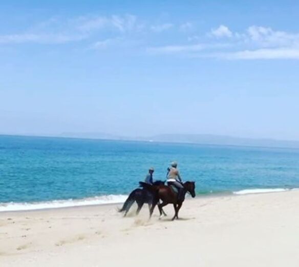 comporta