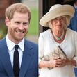 harry, principe harry, camilla, camilla e carlos, inglaterra, monarquia