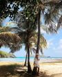 Mustique, Kate Middleton, Príncipe William