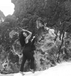 ana malhoa