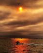 incêndio, fogo, monchique, silves, algarve, céu, praias, portimão