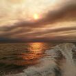 incêndio, fogo, monchique, silves, algarve, céu, praias, portimão