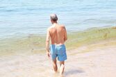 Marcelo rebelo de sousa, rita amaral cabral, praia gigi, quinta do lago, férias, verão, algarve, presidente da república